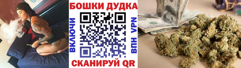 Бошки Шишки гибрид  Кочубеевское 